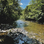 9ct Gold Bloom Wave Ring