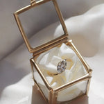 Trilogy Diamond White Gold Engagement Ring-Engagement Rings-Wild Fawn Jewellery