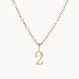 9ct Gold Lucky Number Necklace-Wild Fawn Jewellery
