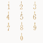 9ct Gold Lucky Number Charm Pendant-Wild Fawn Jewellery