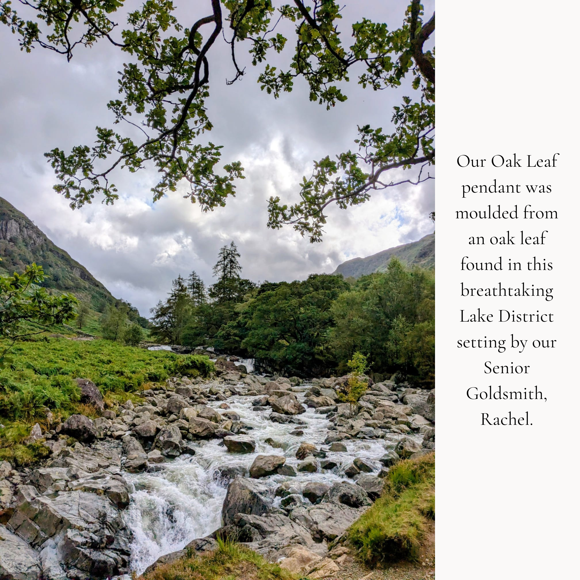 9ct Gold Oak Leaf Hoop Earrings-Earrings-Wild Fawn Jewellery