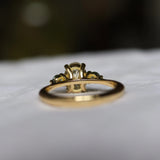 back view of diamond engagement ring with gold band and basket with blurred background