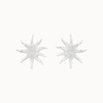 Silver Large Sun Earrings