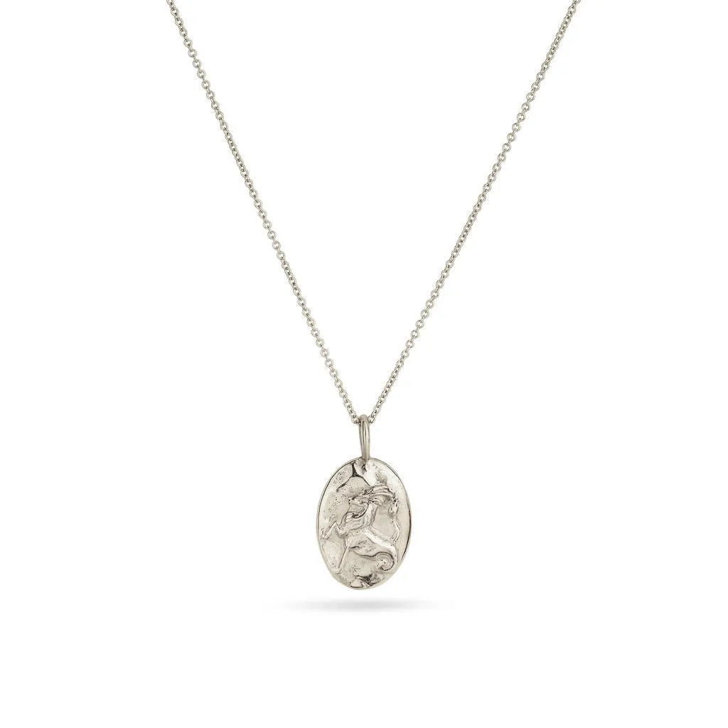 Silver Personalised Capricorn Necklace