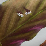 pair of diamond climber earrings in a green and purple leaf with shadows