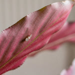 diamond climber earring featuring three lab-grown diamonds in red leaf