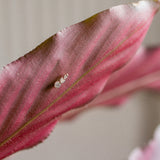 diamond climber earring featuring three lab-grown diamonds in red leaf