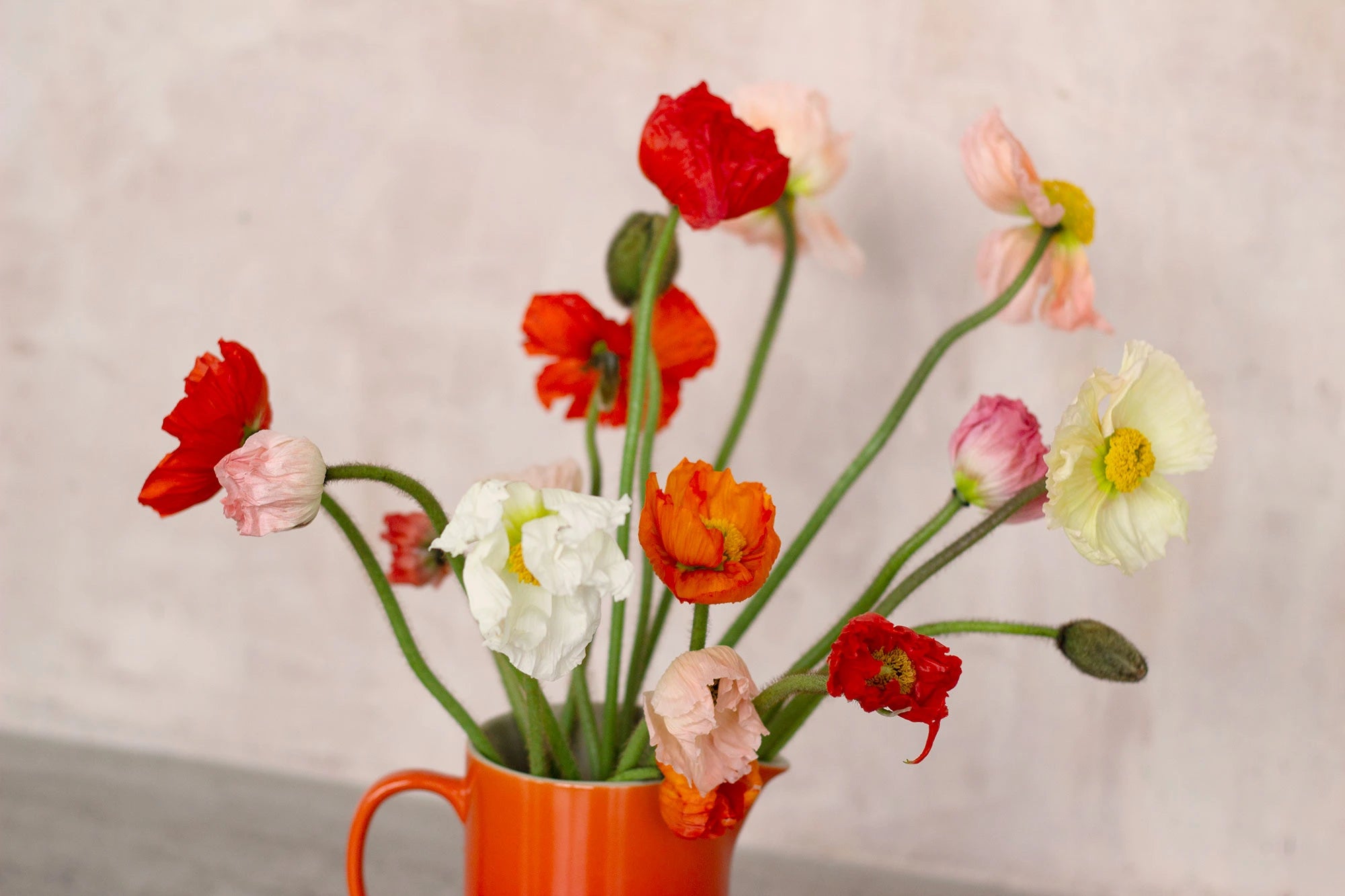 red, orange, pink and cream poppies in an orange vase in front of a peach wall
