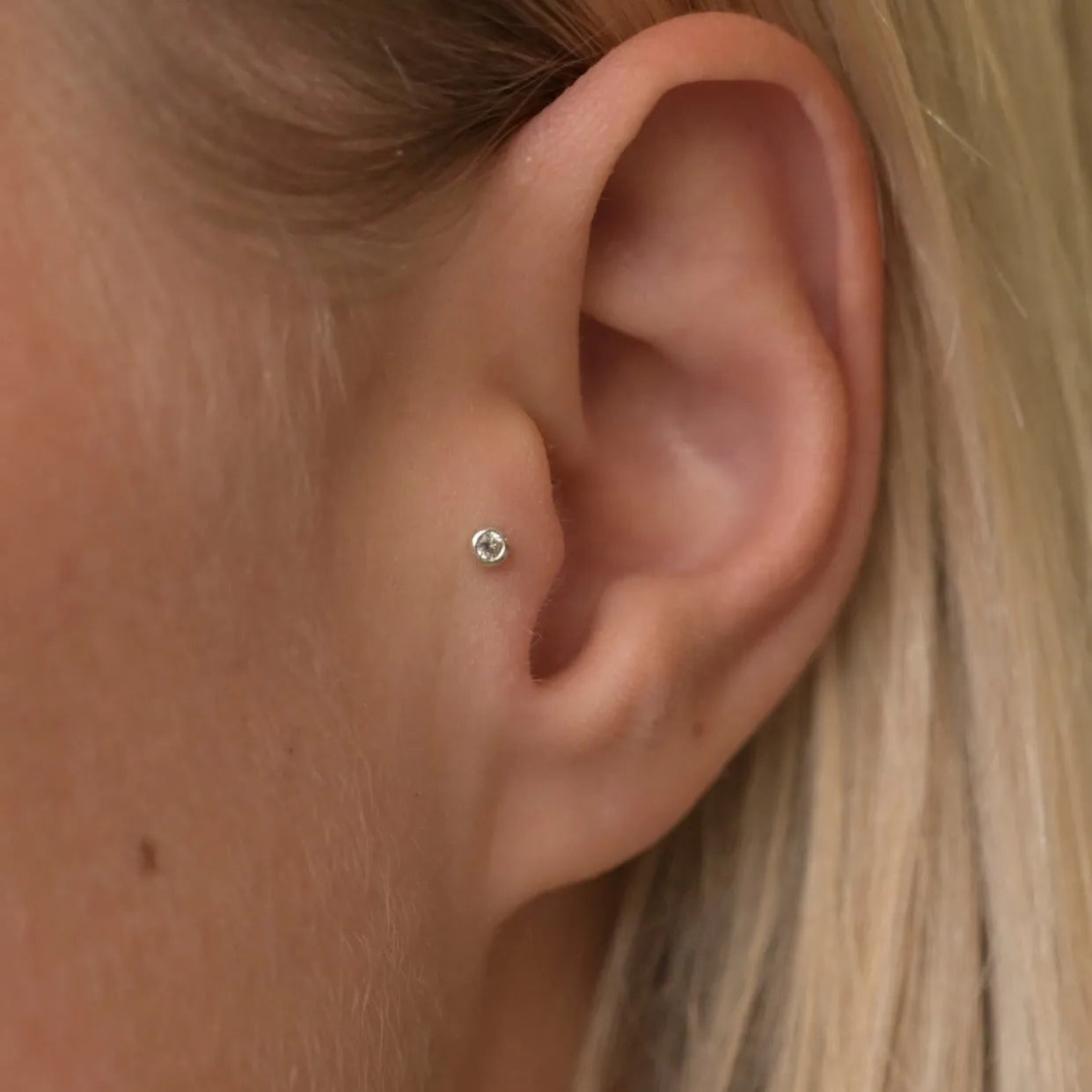 What is a tragus piercing? The ultimate guide-Wild Fawn Jewellery