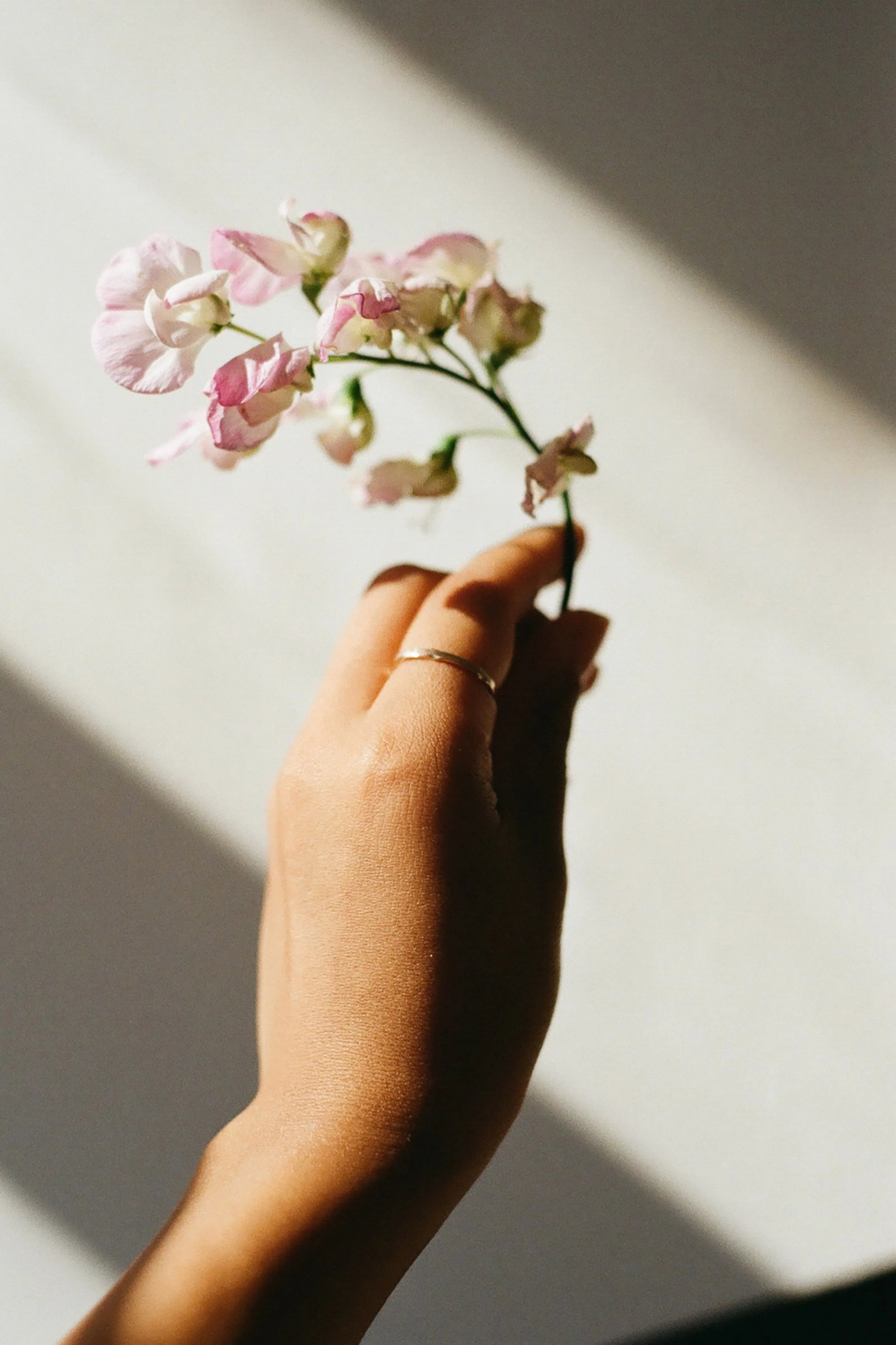 6 LGBTQ+ Charities to Support This Pride Month and Beyond-Wild Fawn Jewellery