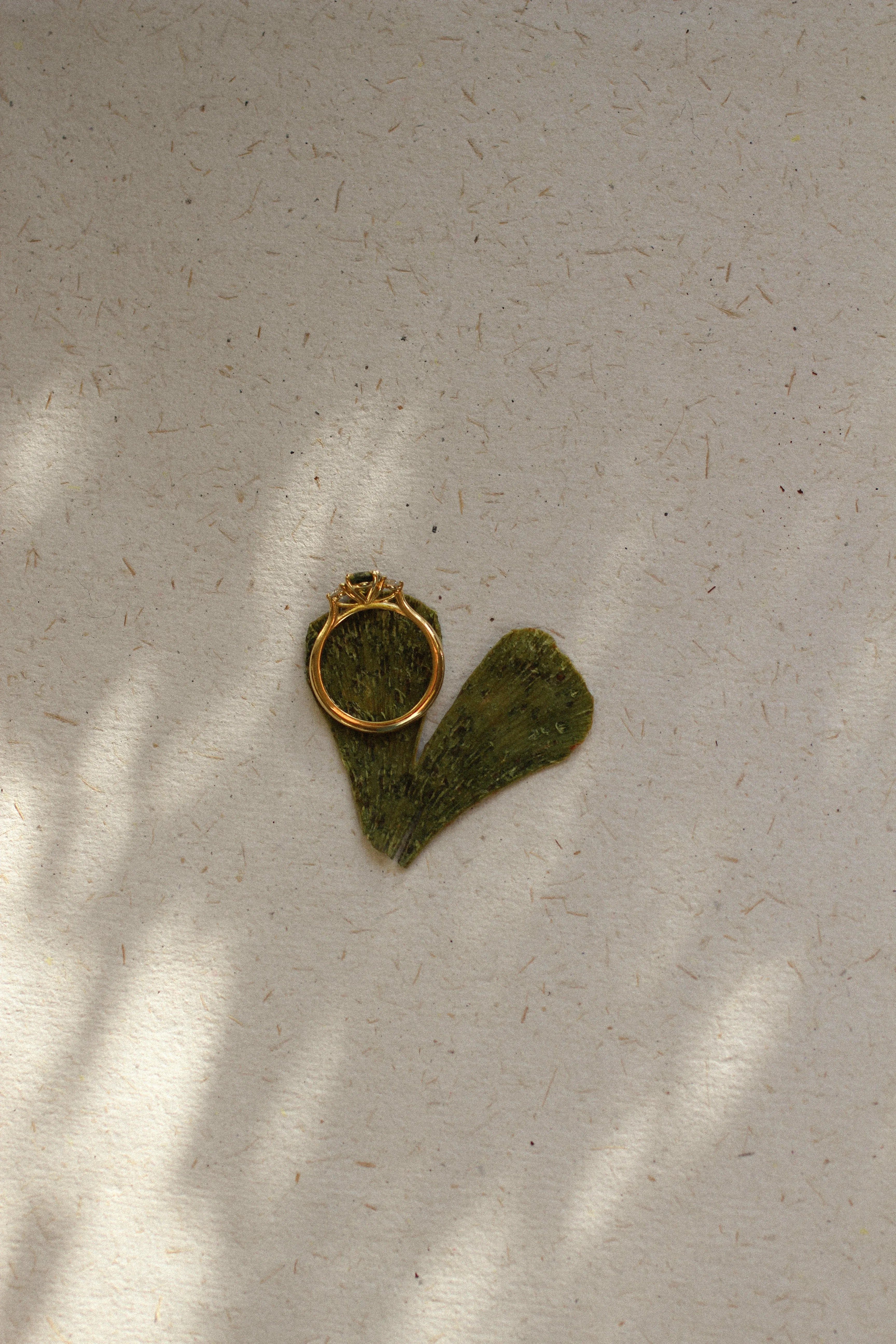 high set engagement ring laying on a heart shaped leaf with shadows