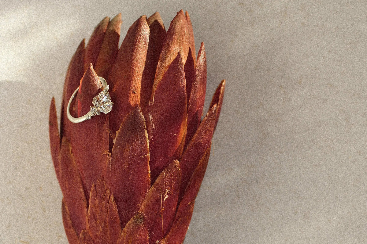 white gold diamond cluster engagement ring hooked onto. dark red flower
