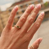 Hand wearing a ring with a blurred background