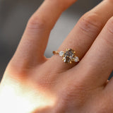Brown Diamond Oval Trilogy Engagement Ring-Engagement Rings-Wild Fawn Jewellery