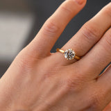 Solitaire Brown Diamond Engagement Ring-Engagement Rings-Wild Fawn Jewellery