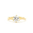 round solitaire diamond engagement ring with 6 round prongs, with wavy molten yellow gold band against a white background