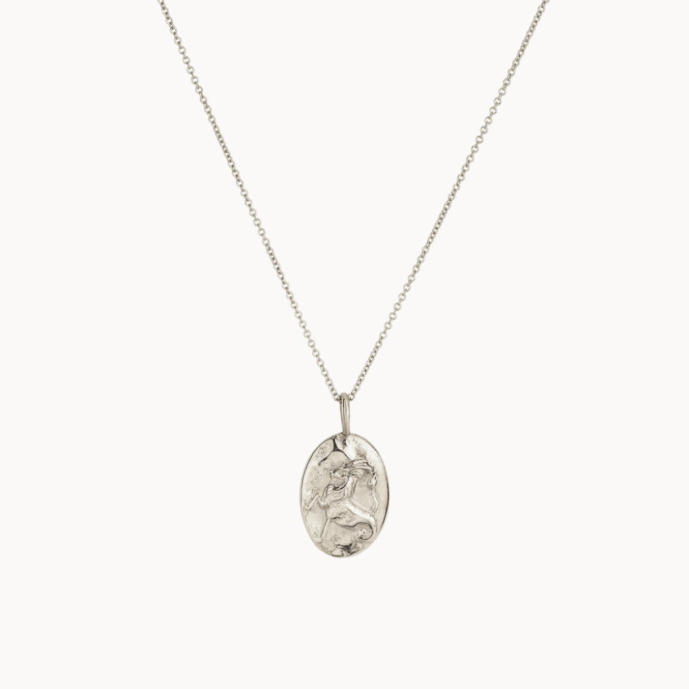 Silver capricorn necklace with a pendant on a white background