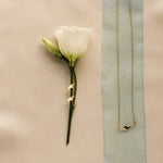 flatlay of a white flower with star shaped earrings, and a matching necklace on a blue ribbon on a warm beige fabric