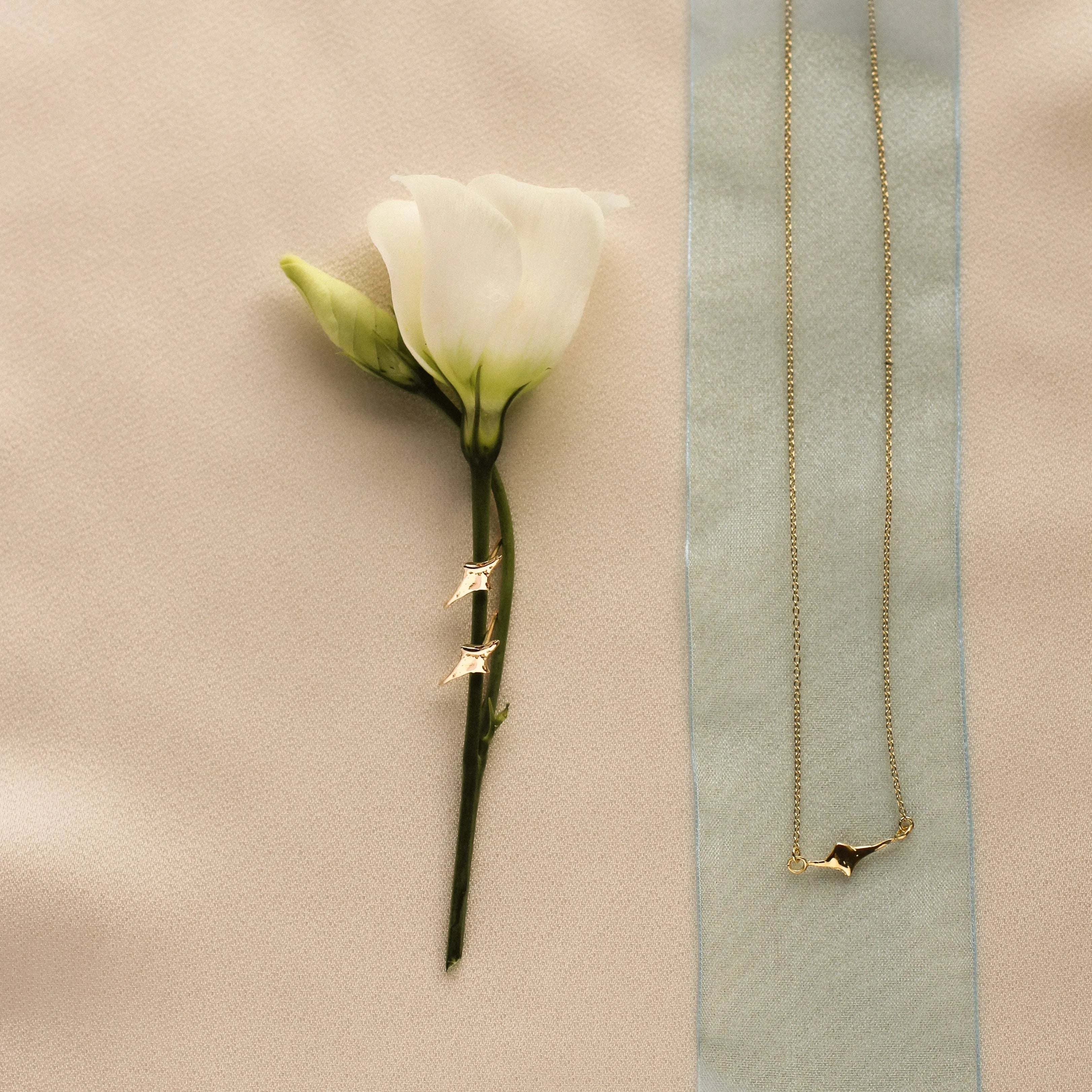 flatlay of a white flower with star shaped earrings, and a matching necklace on a blue ribbon on a warm beige fabric