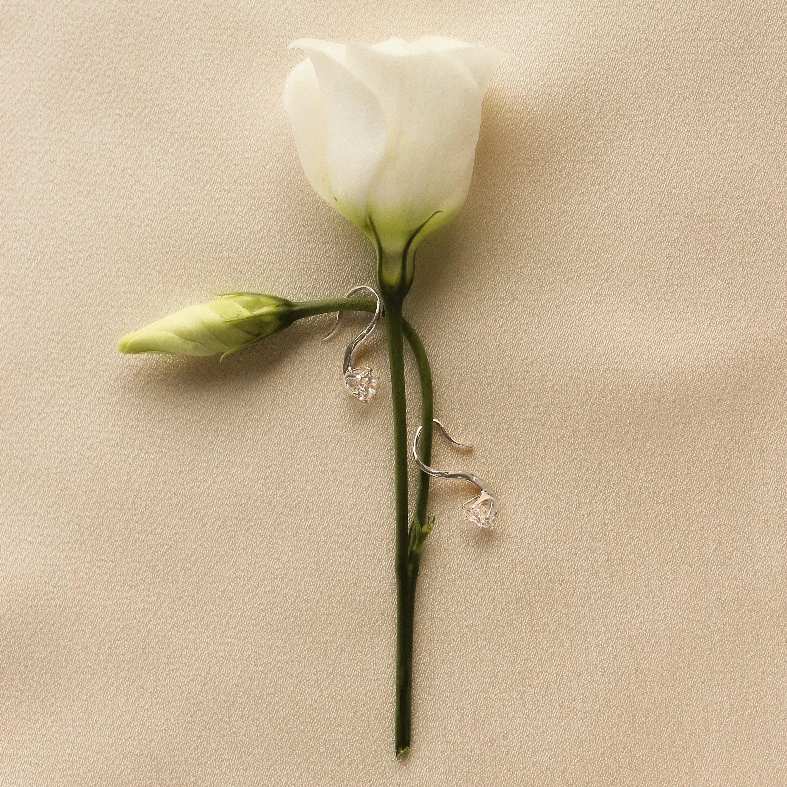 white gold hook earrings with diamonds on a white rose stem against a beige background