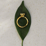 Gold ring on a green leaf against a textured beige background
