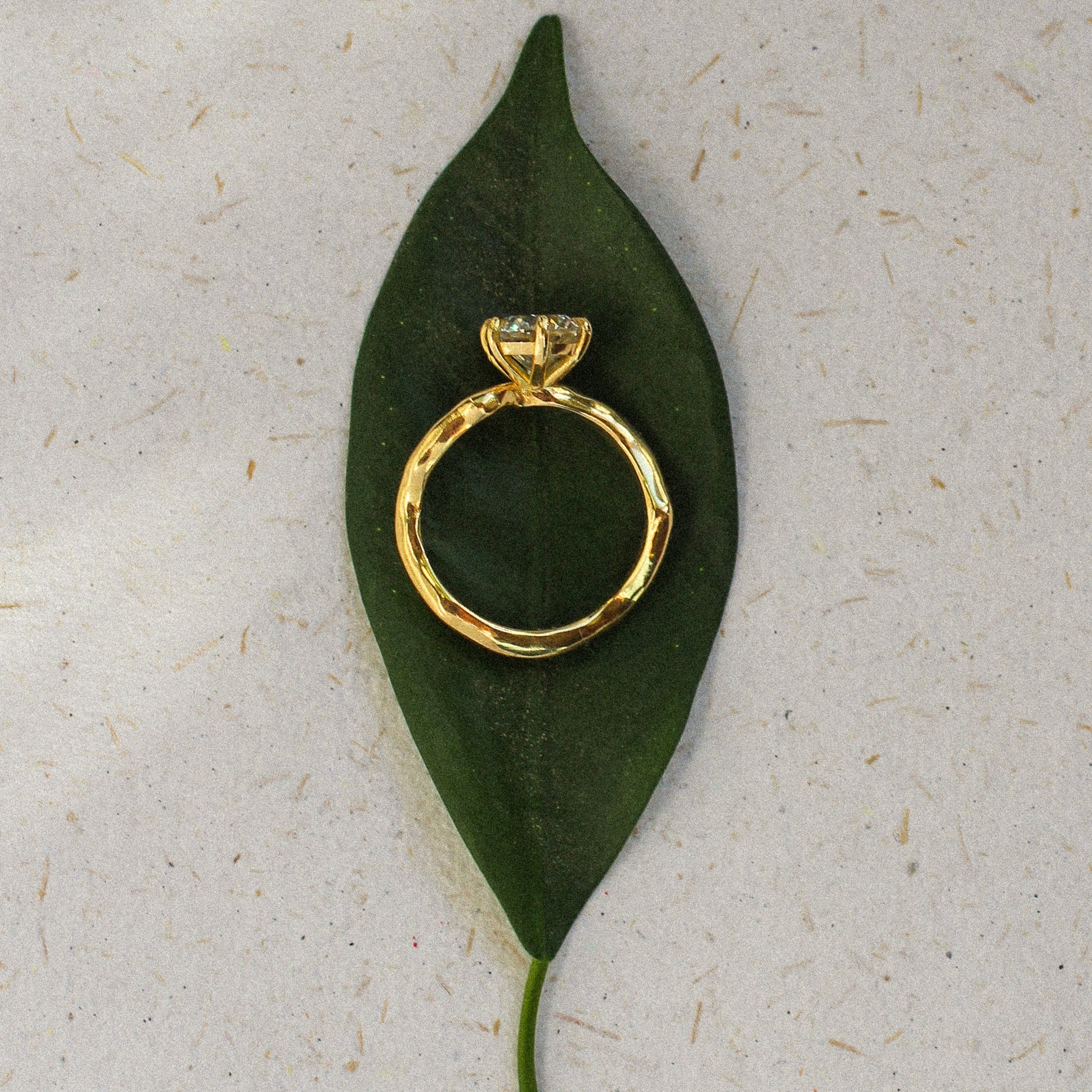 Gold ring on a green leaf against a textured beige background