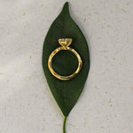 Gold ring on a green leaf against a textured beige background