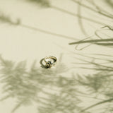 A delicate gold ring with a knot design, photographed on a warm beige surface with soft, artistic shadows of dried grasses.