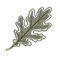 green oak leaf illustrated icon