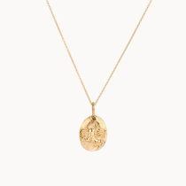 gold scorpio necklace with oval pendant on a white background