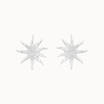 Silver Large Sun Earrings