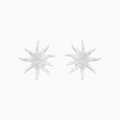 Silver Large Sun Earrings
