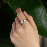 Silver Worthy Ring