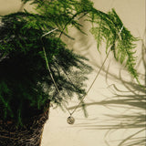 A potted green fern-like houseplant with a dark fibrous root ball, with a silver necklace hanging from it.