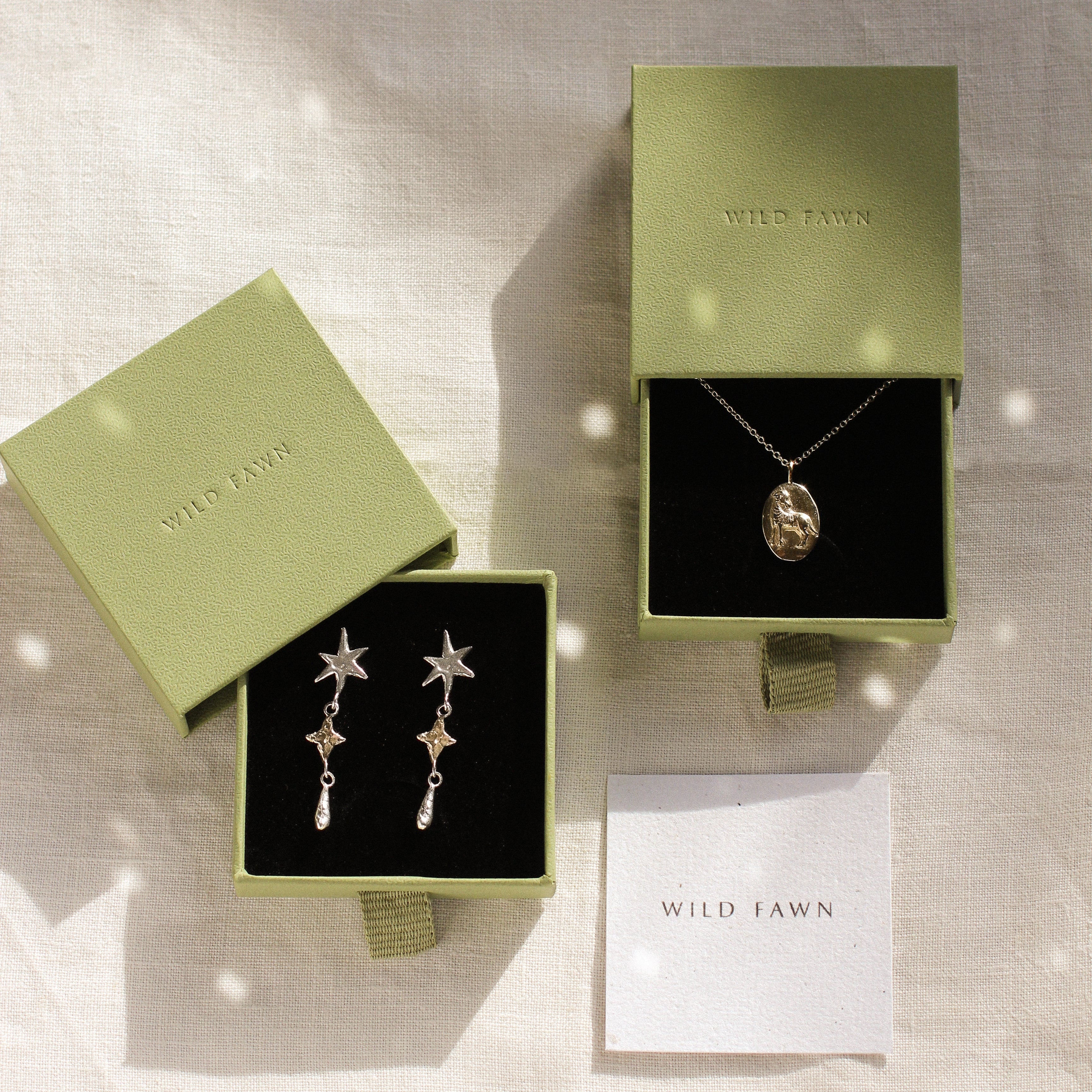gold aries necklace and star earrings in green WILD FAWN boxes
