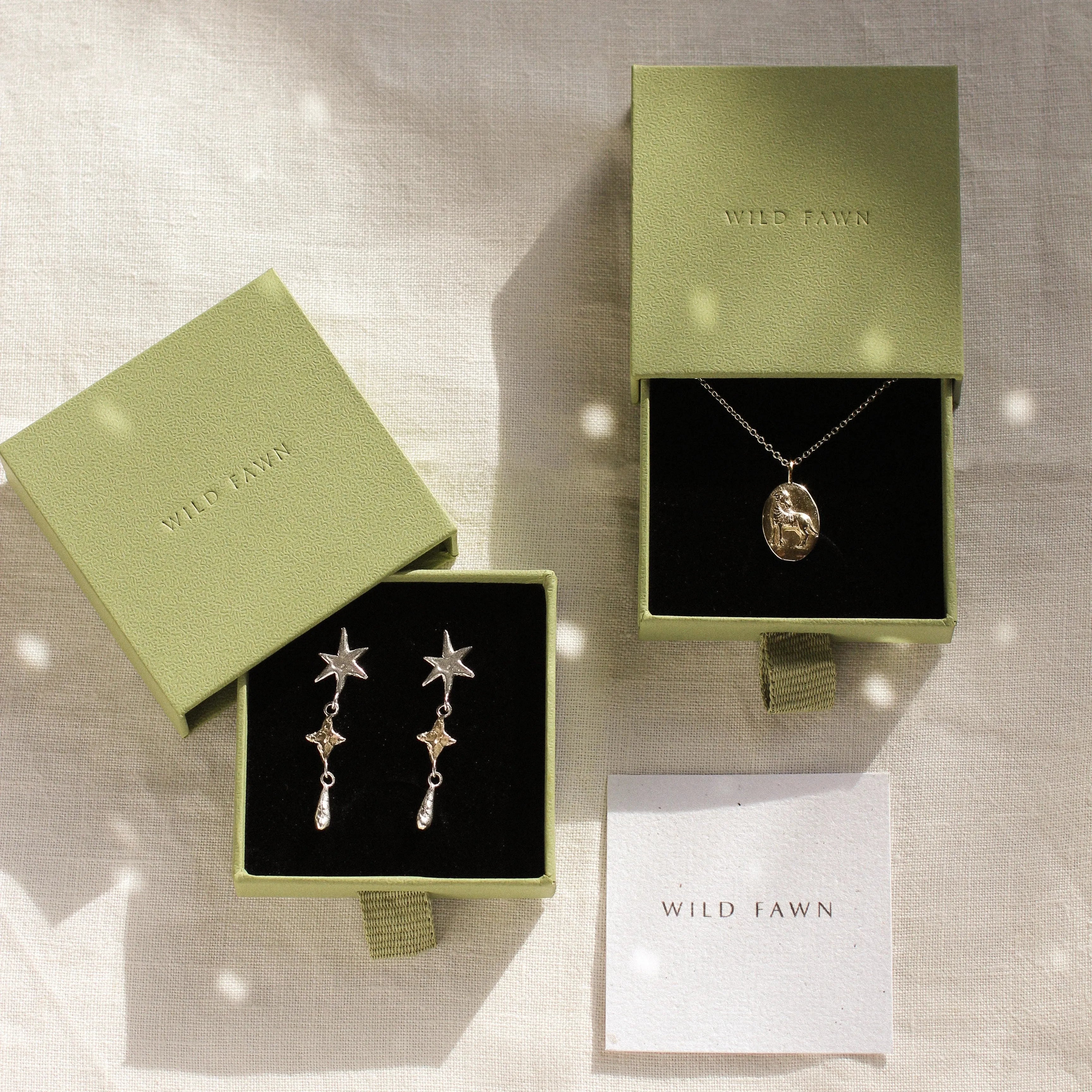 gold aries necklace and star earrings in green WILD FAWN boxes