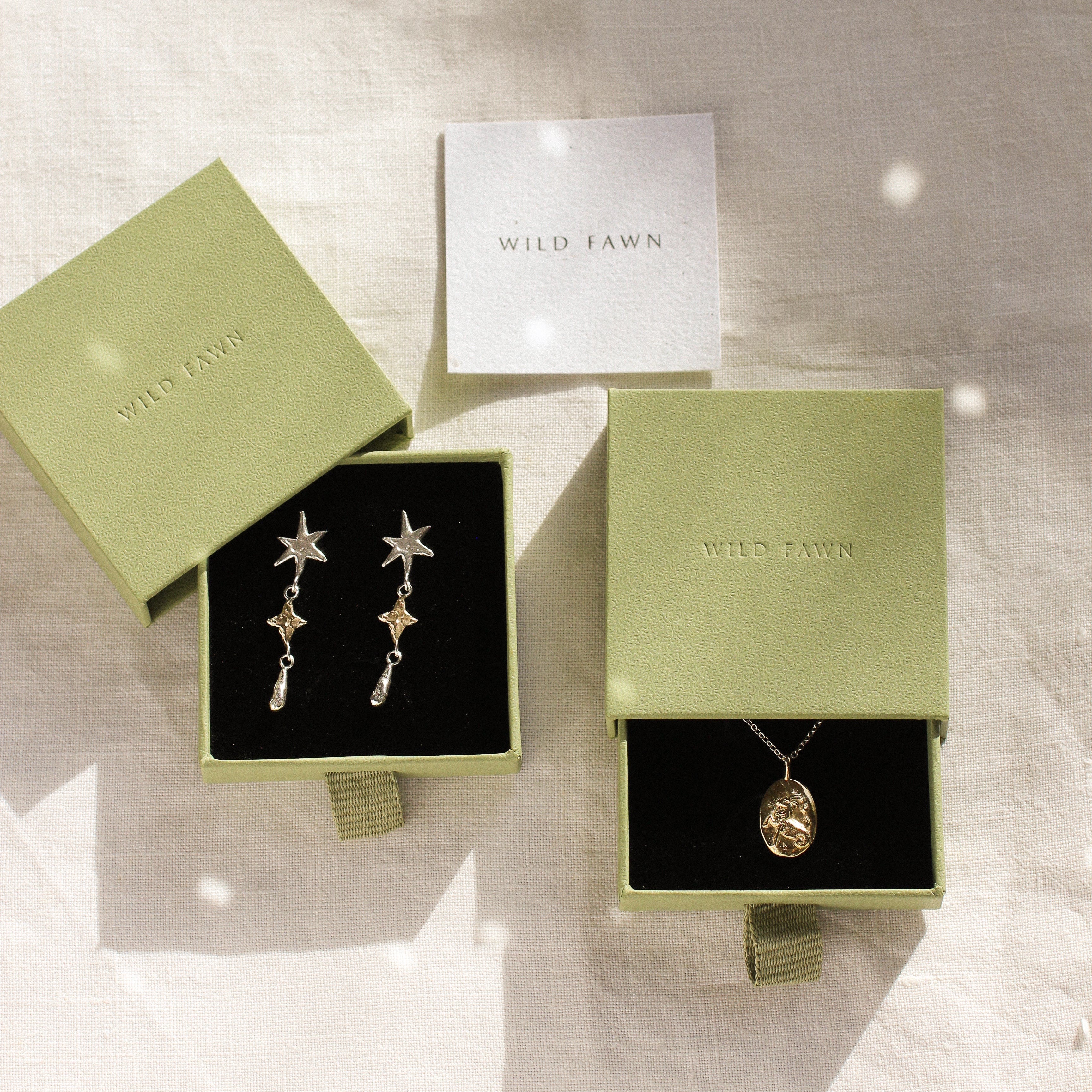 gold capricorn necklace and star earrings in green wild fawn boxes