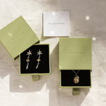 gold capricorn necklace and star earrings in green wild fawn boxes