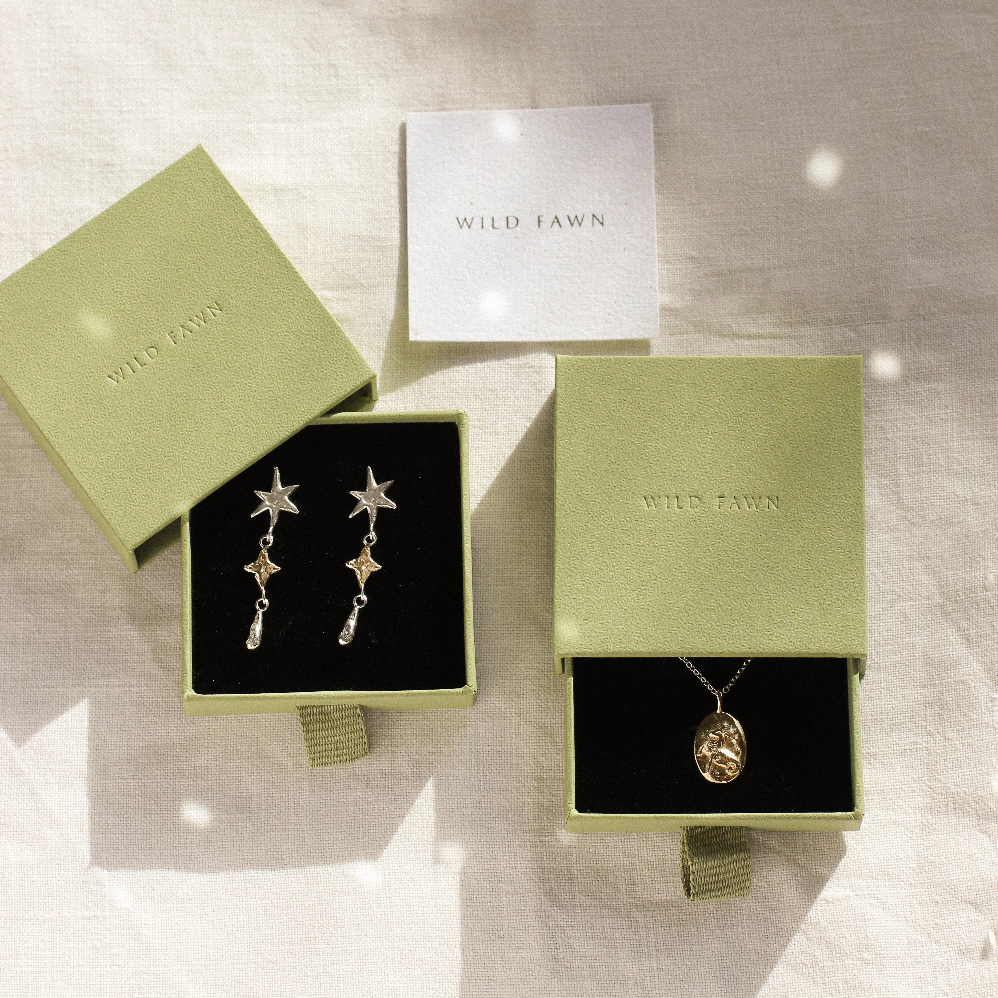 gold capricorn necklace and star earrings in green wild fawn boxes