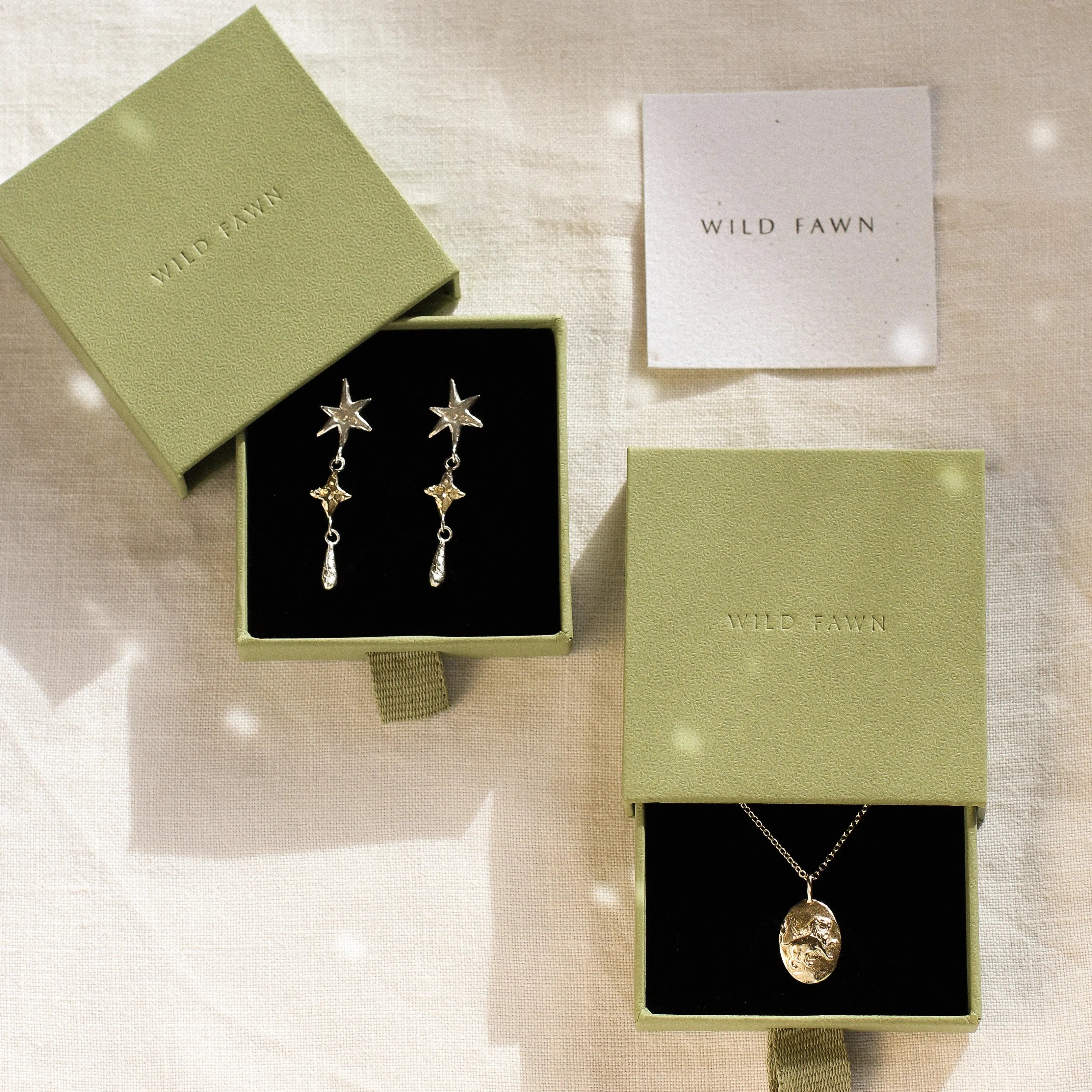 gold leo necklace and star earrings in green boxes
