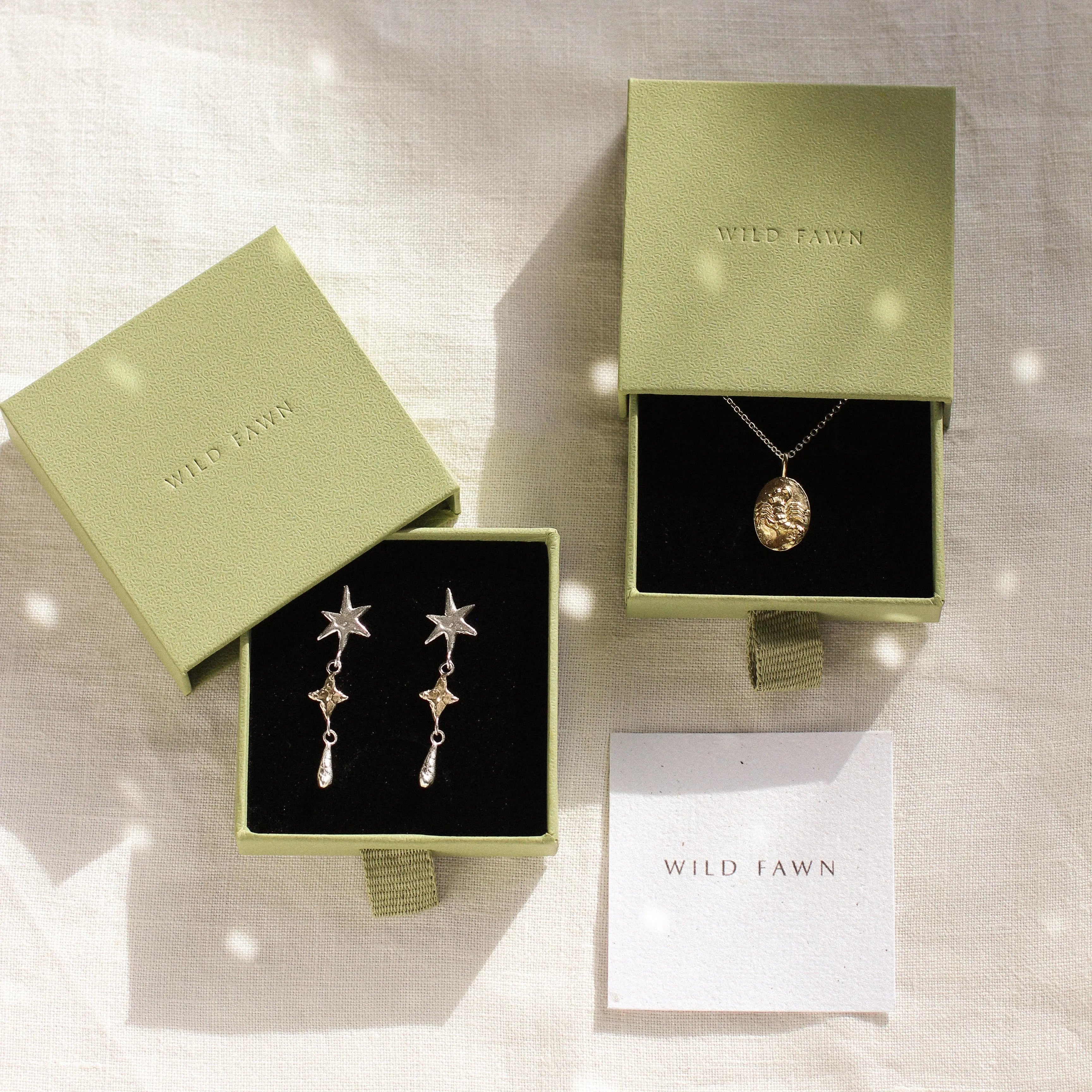 gold scorpio necklace and shooting star earrings in green boxes and wild fawn care card