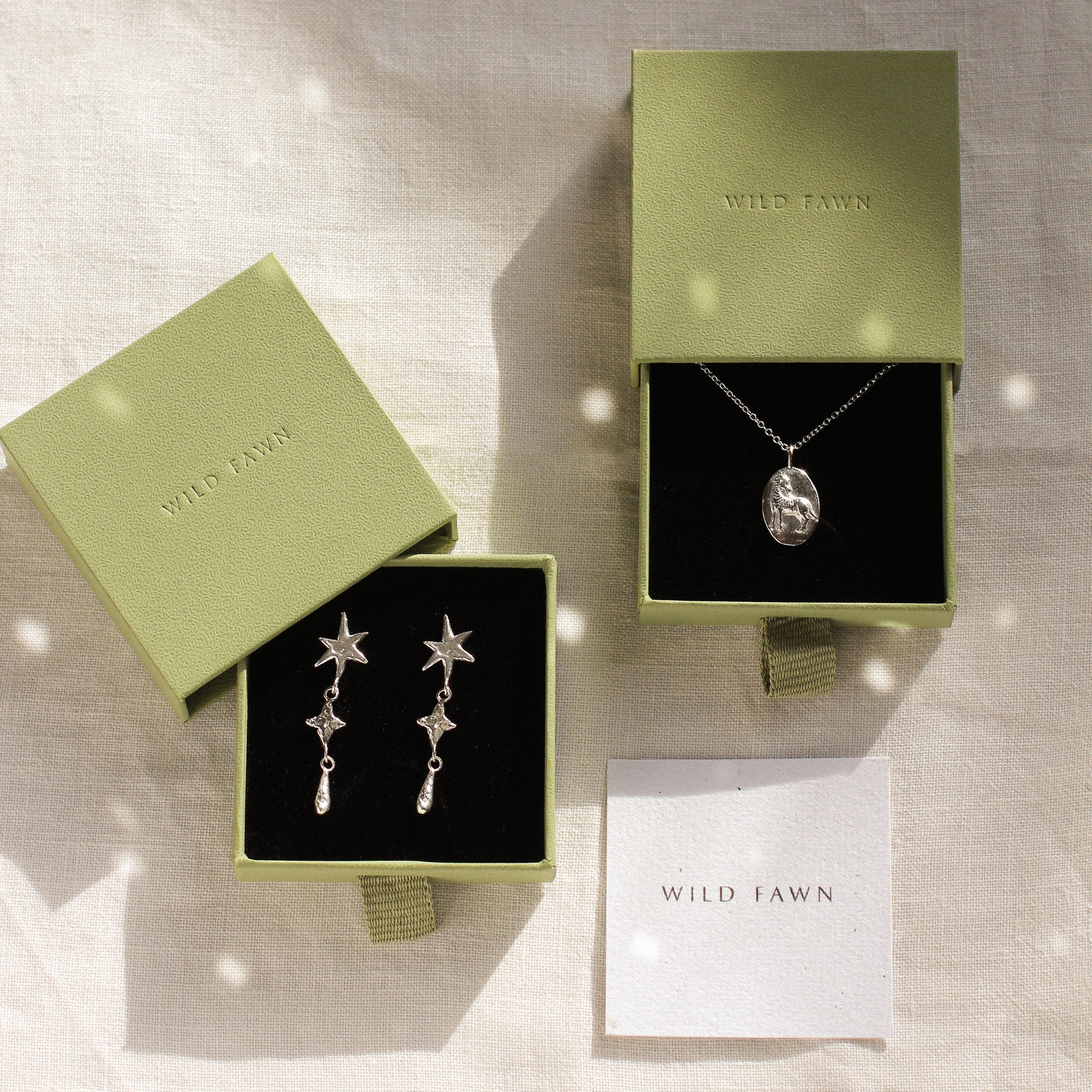 silver aries necklace and star earrings in green wild fawn gift boxes