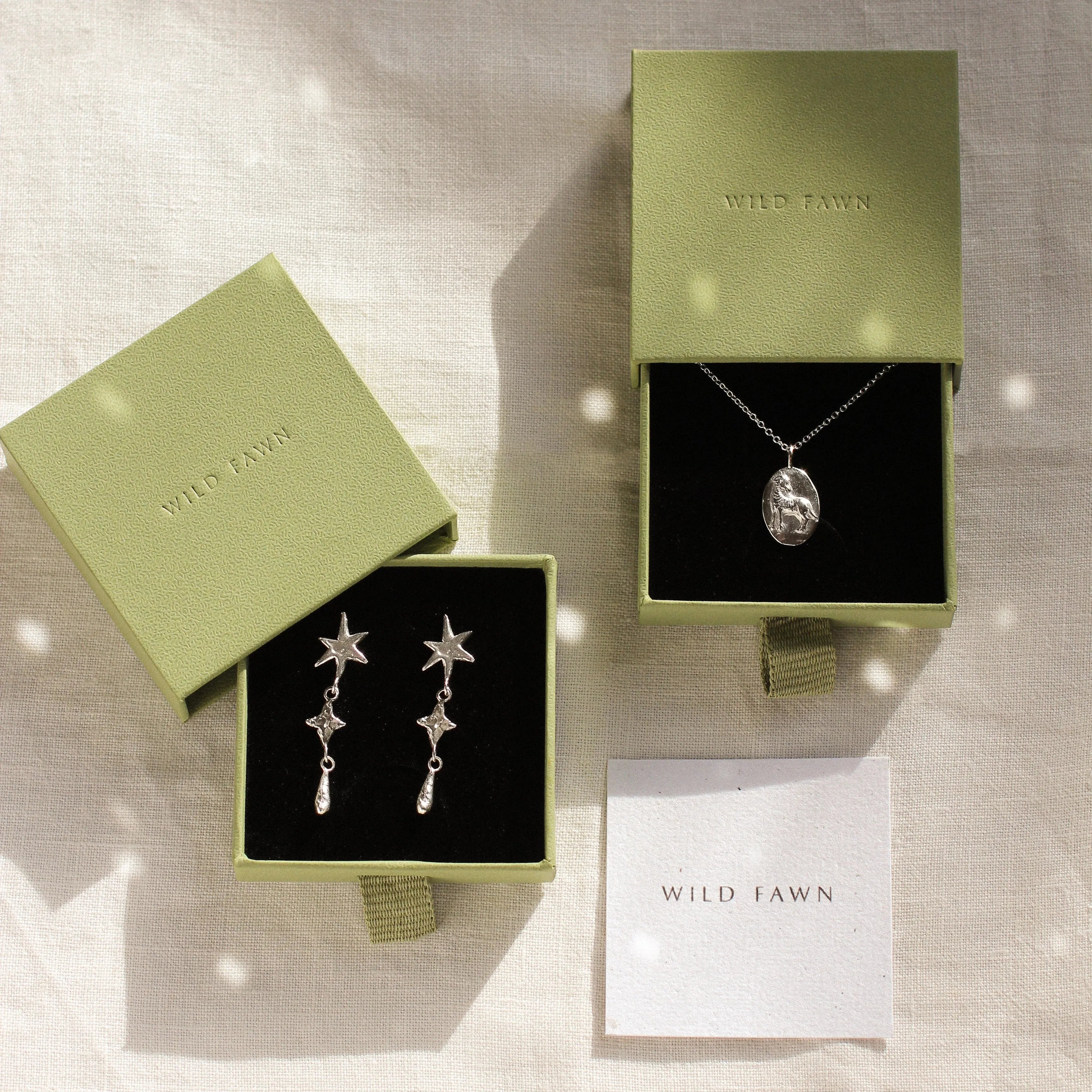 silver aries necklace and star earrings in green wild fawn gift boxes