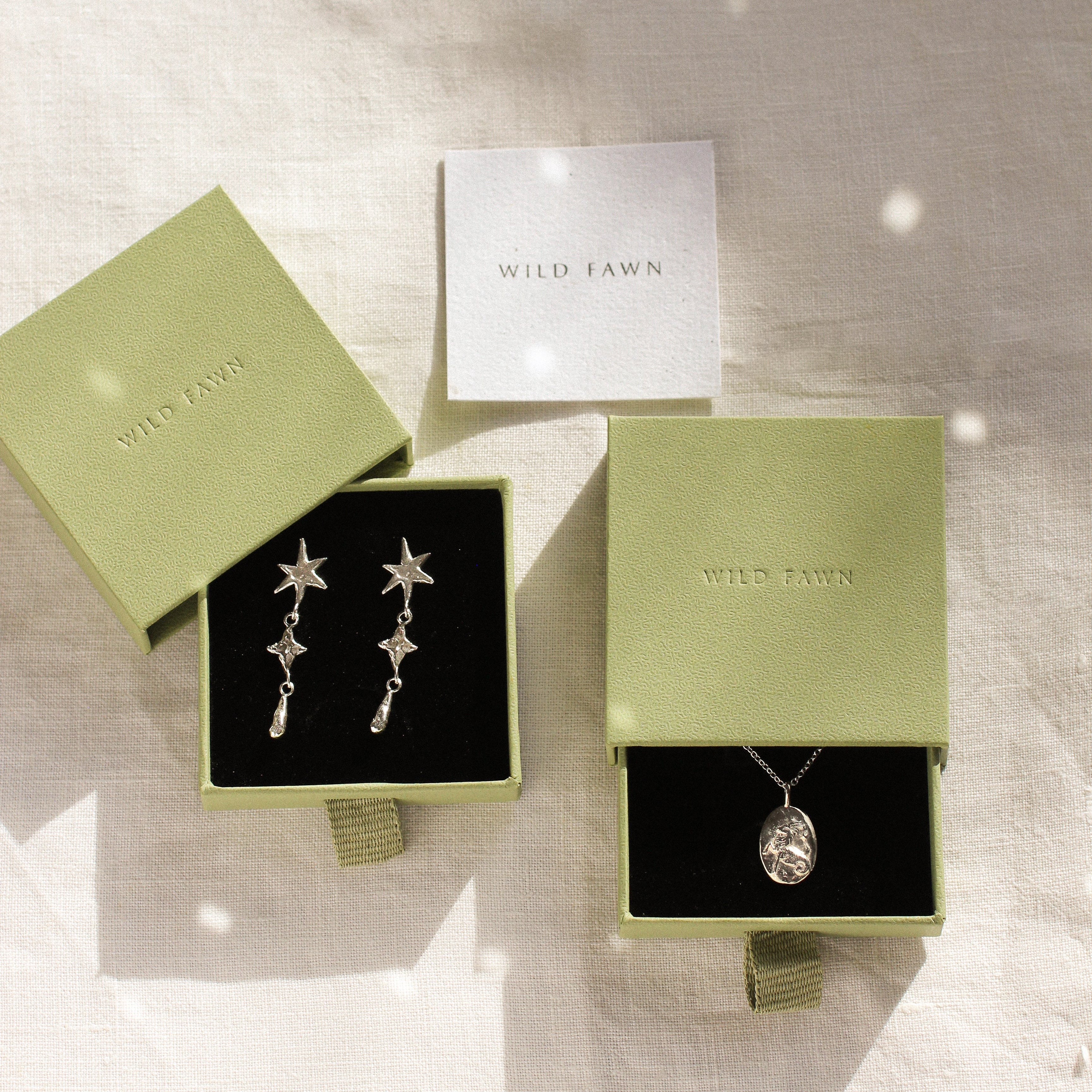 silver capricorn necklace and star earrings in green wild fawn gift boxes