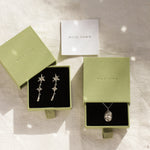 silver capricorn necklace and star earrings in green wild fawn gift boxes