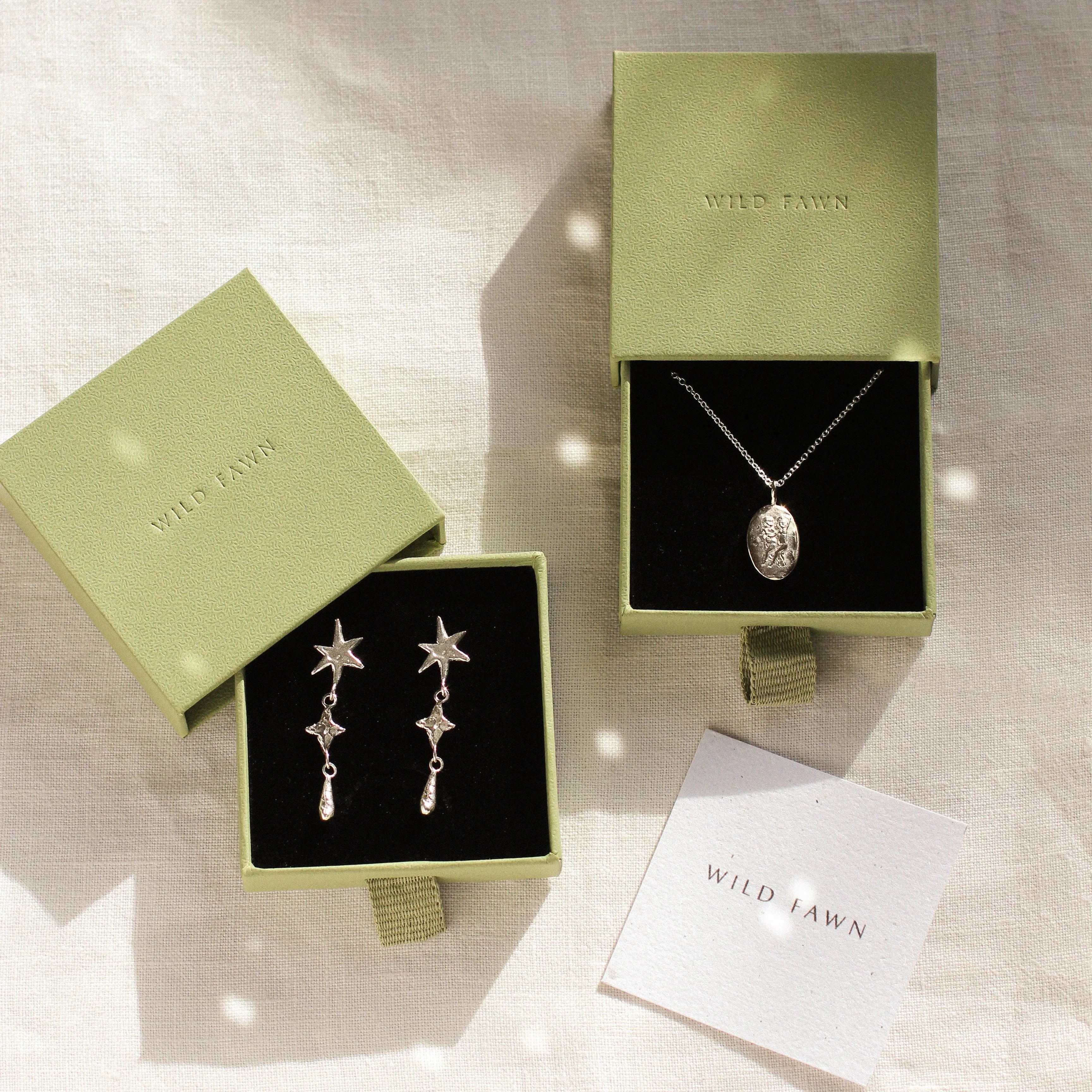 silver gemini necklace and shooting star earrings in green boxes with wild fawn care card