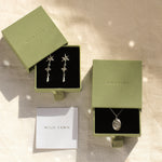 silver pisces necklace and star earrings in green gift boxes and wild fawn care card