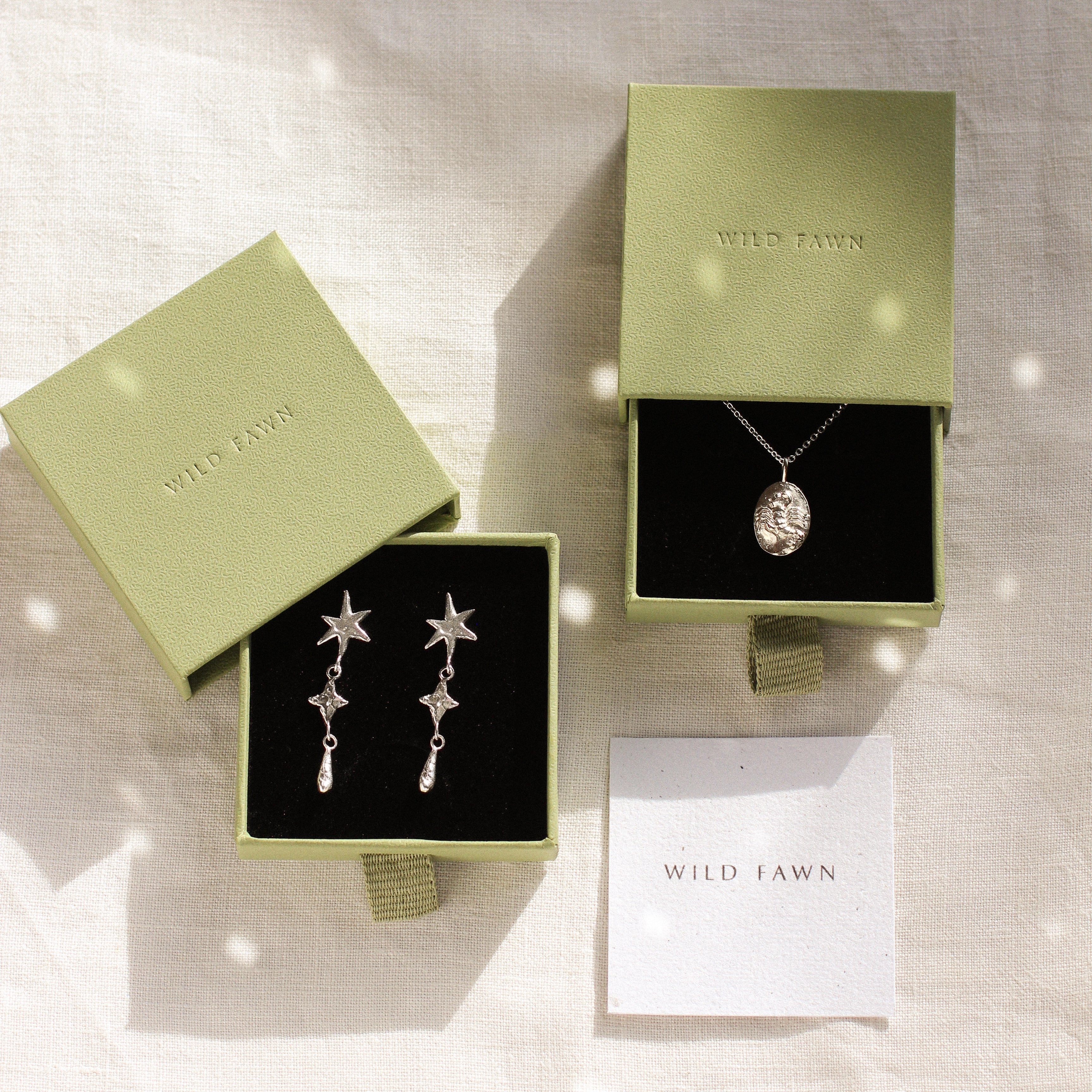 silver scorpio necklace and shooting star dangle earrings in green gift boxes and wild fawn care card