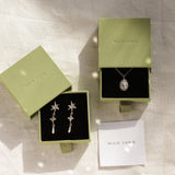 silver virgo necklace and star earrings in green wild fawn boxes