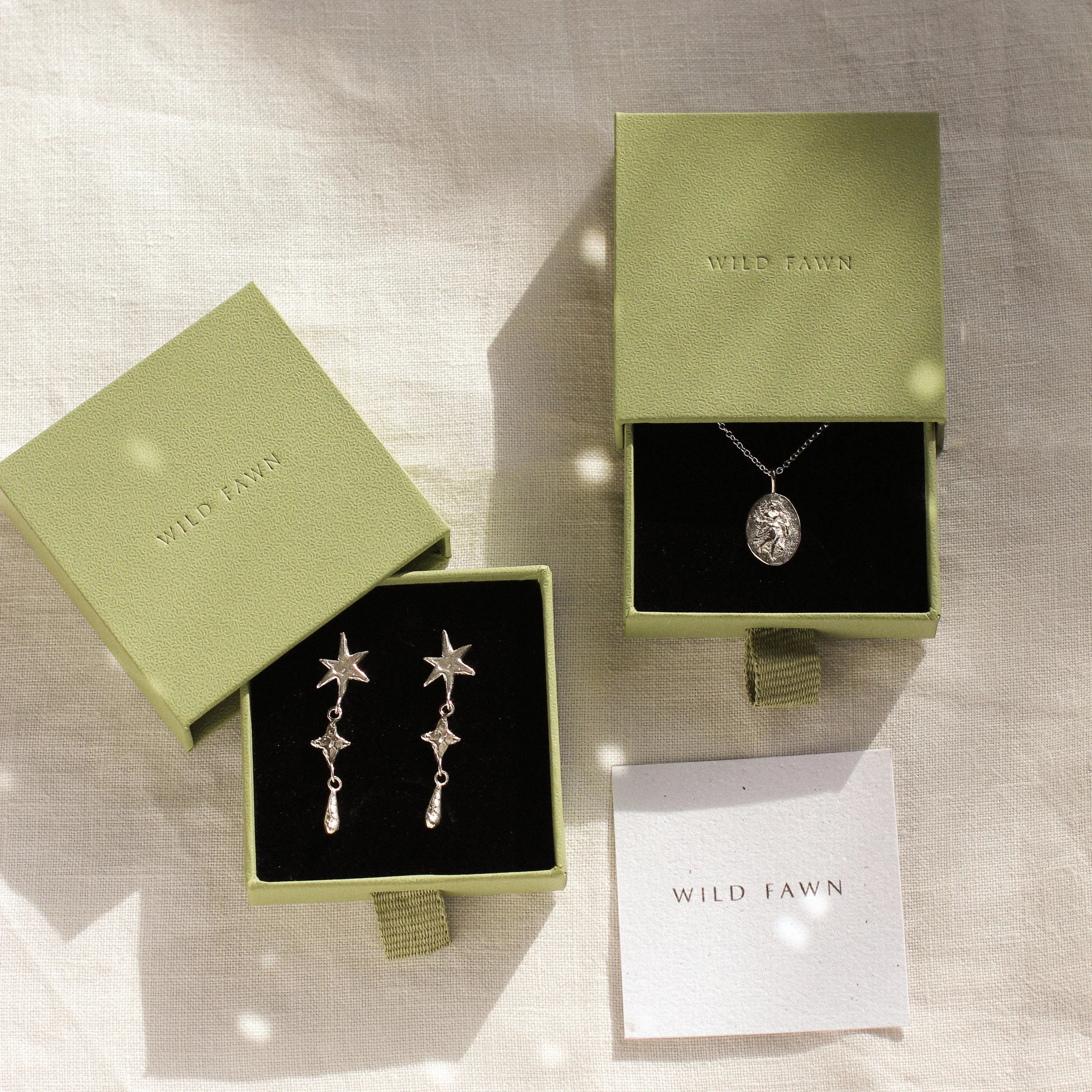 silver virgo necklace and star earrings in green wild fawn boxes
